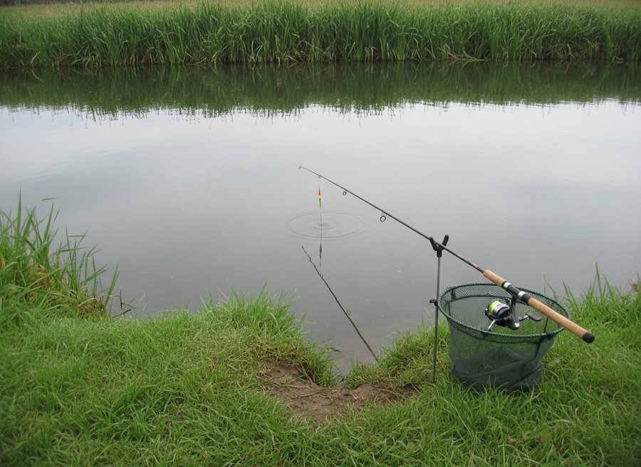 Coarse & Match fishing